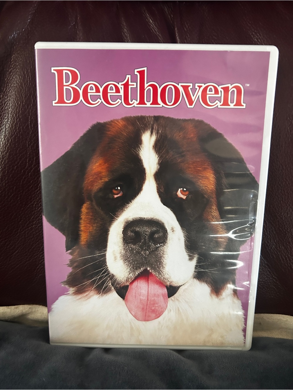 Beethoven Movie DVD - 
Great Family Movie